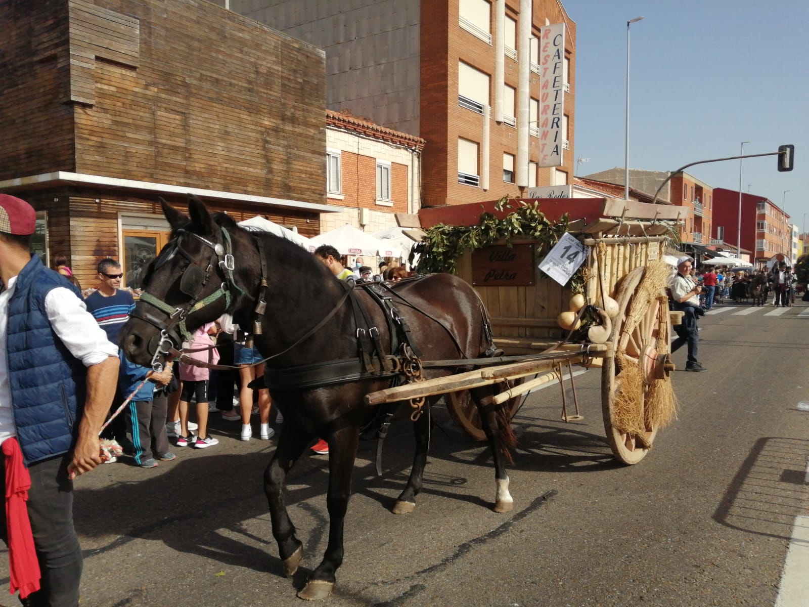 Pendones, carros engalanados y más de 50.000 romeros protagonizan el gran día de las festividades de San Froilán