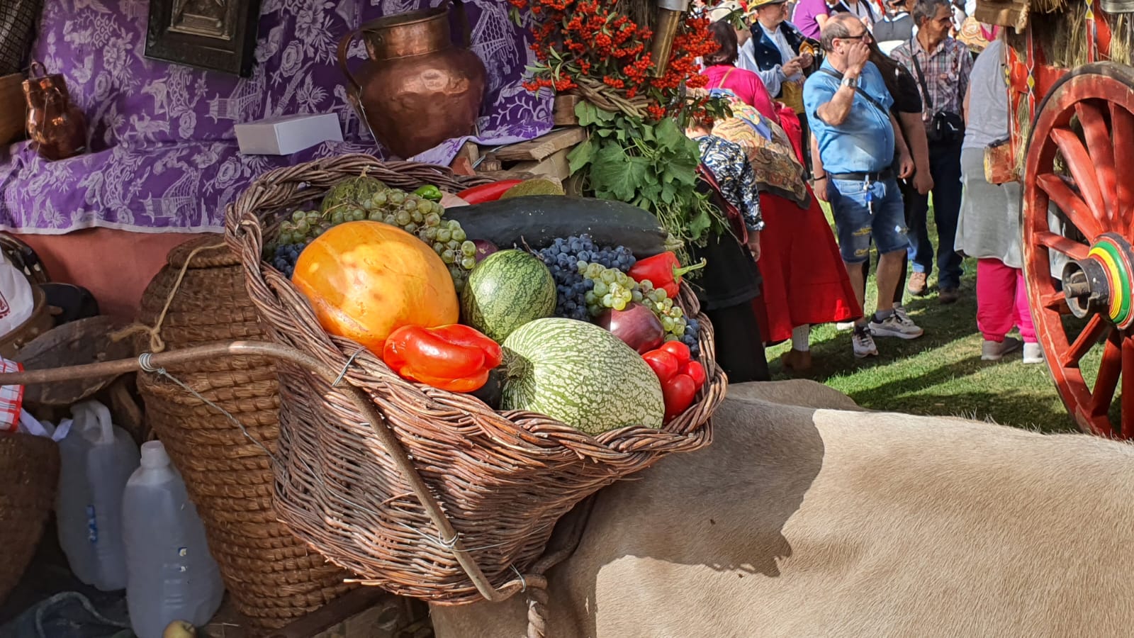 Pendones, carros engalanados y más de 50.000 romeros protagonizan el gran día de las festividades de San Froilán