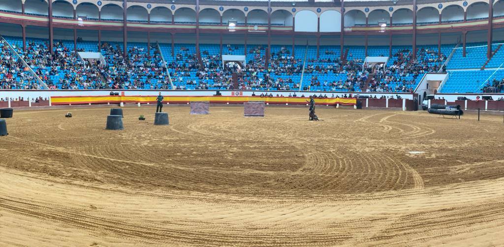 Demostración de procedimientos de actuación de la Guardia Civil en la Plaza de Toros de León