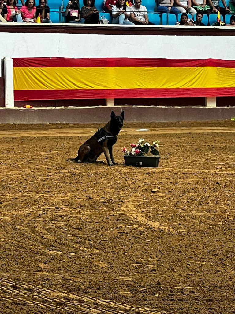 Demostración de procedimientos de actuación de la Guardia Civil en la Plaza de Toros de León