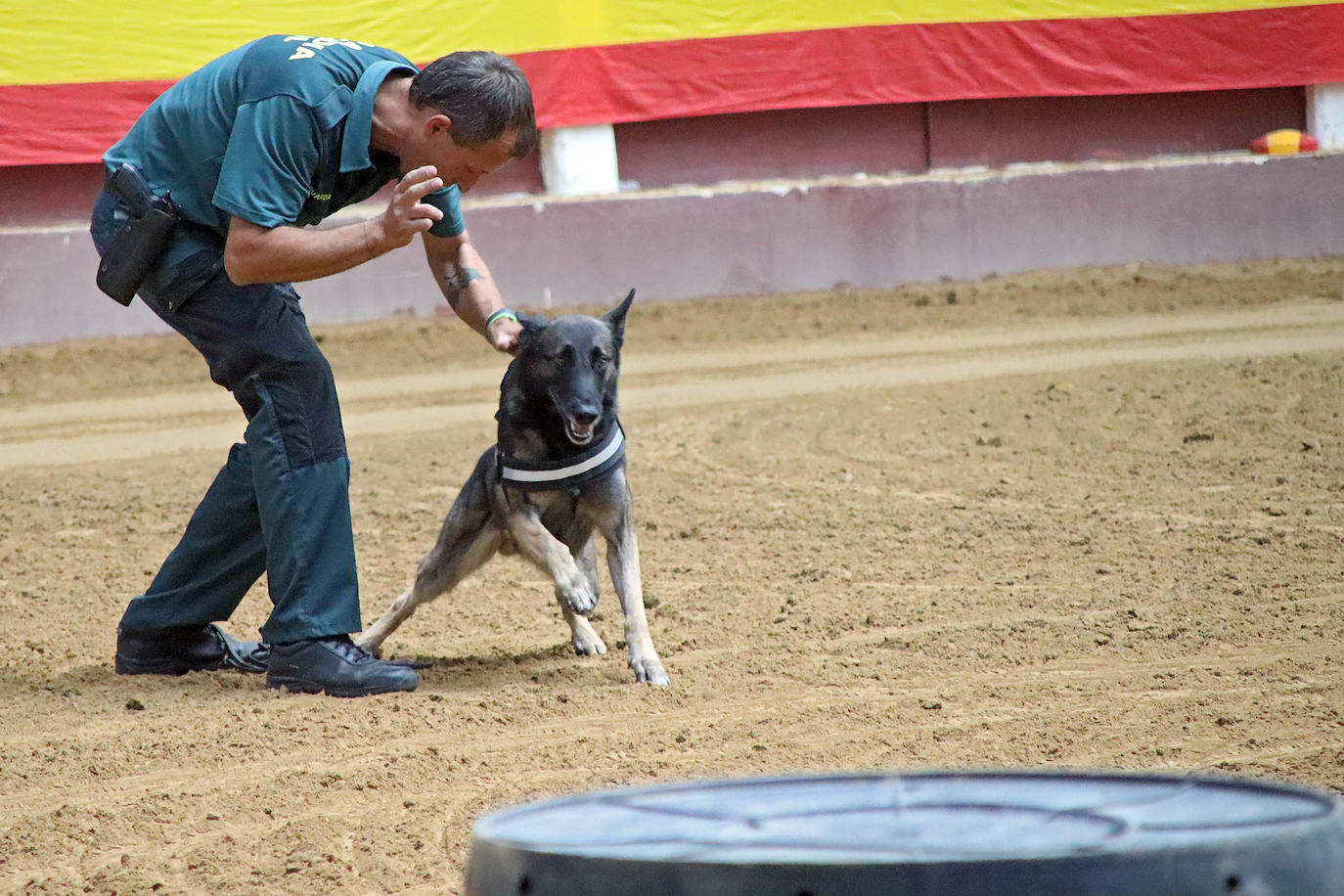 Demostración de procedimientos de actuación de la Guardia Civil en la Plaza de Toros de León