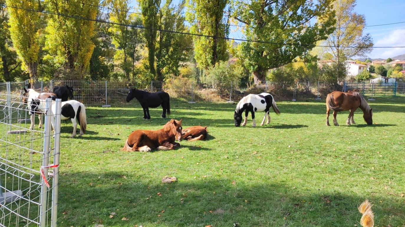 La localidad celebra su tradicional feria de octubre 