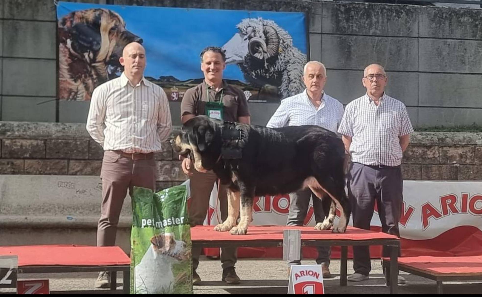 Sombra, en el podio. 