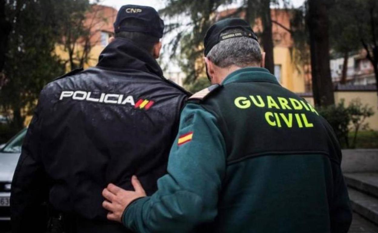 La labor de Policía Nacional y Guardia Civil, en coordinación, fue determinante para esclarecer los hechos y salvar a la víctima.