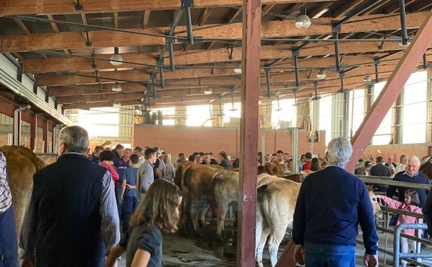 Galería. Miles de personas convierten a la Feriona de Villablino en el epicentro de la comarca.