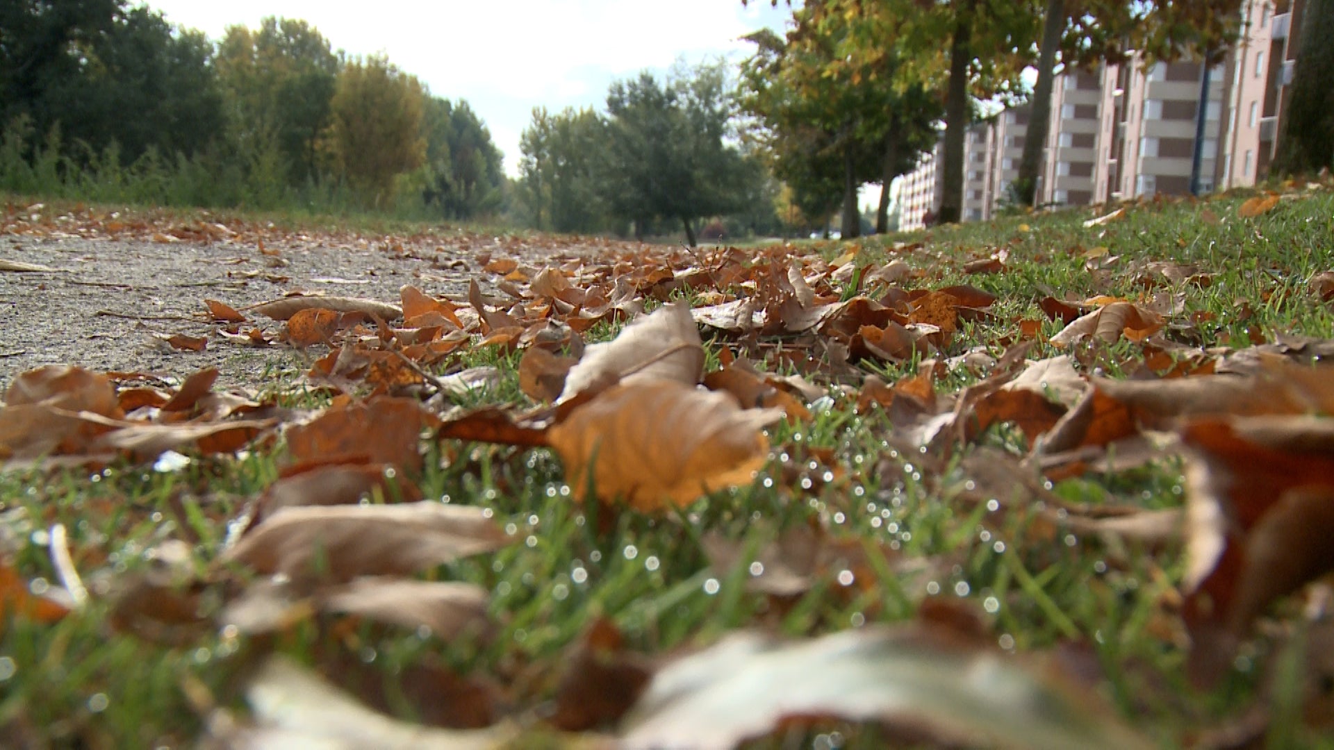 Fotos: El otoño cubre parques y jardines en la ciudad