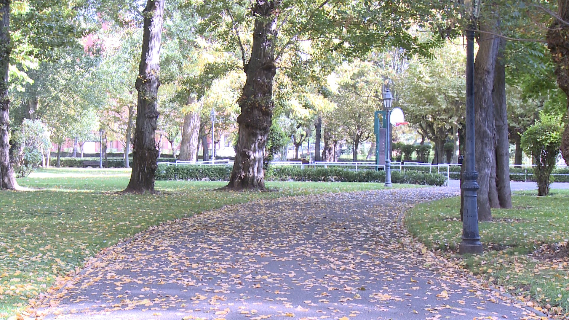 Fotos: El otoño cubre parques y jardines en la ciudad