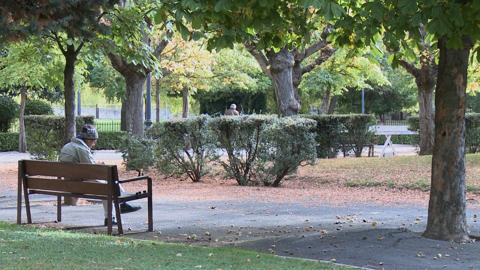 Fotos: El otoño cubre parques y jardines en la ciudad