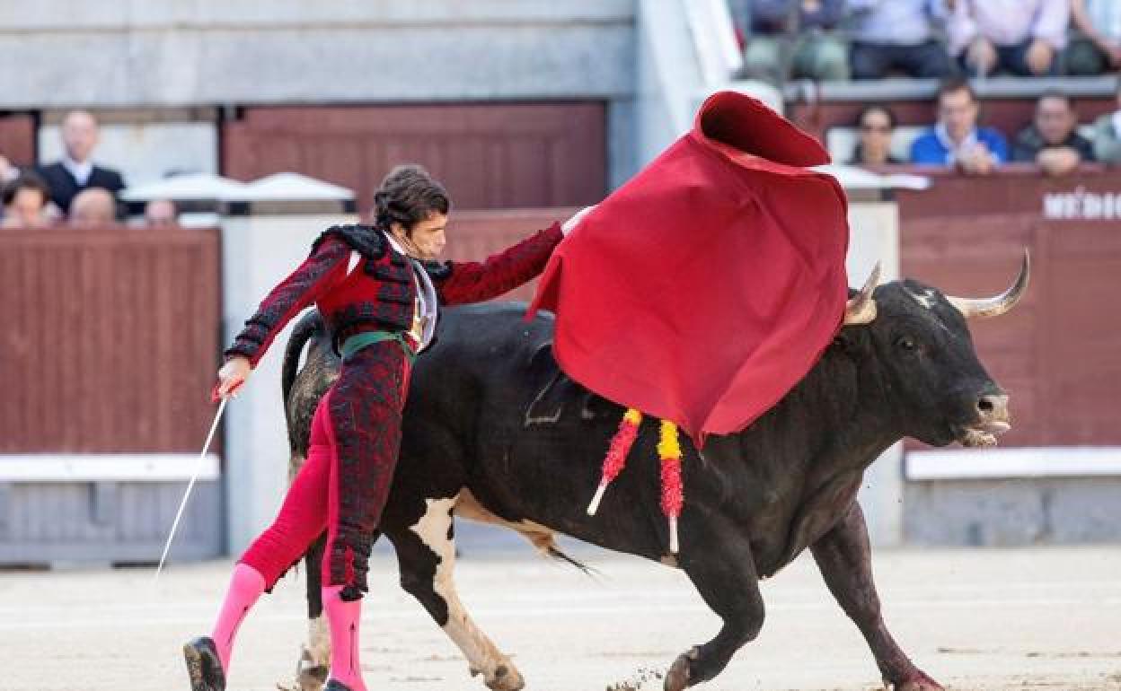 En los grupos de trabajo estarán representados todos los sectores vinculados al mundo taurino.