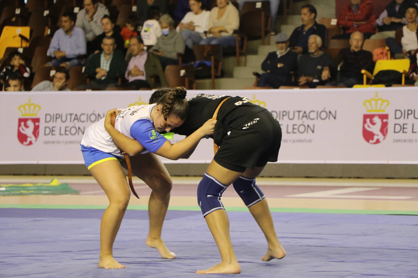 Corro de lucha leonesa en el Palacio de los Deporte.