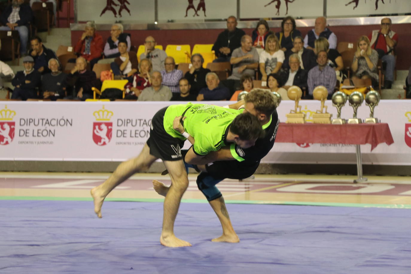 Corro de lucha leonesa en el Palacio de los Deporte.