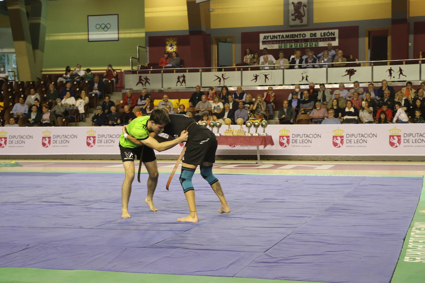 Corro de lucha leonesa en el Palacio de los Deporte.