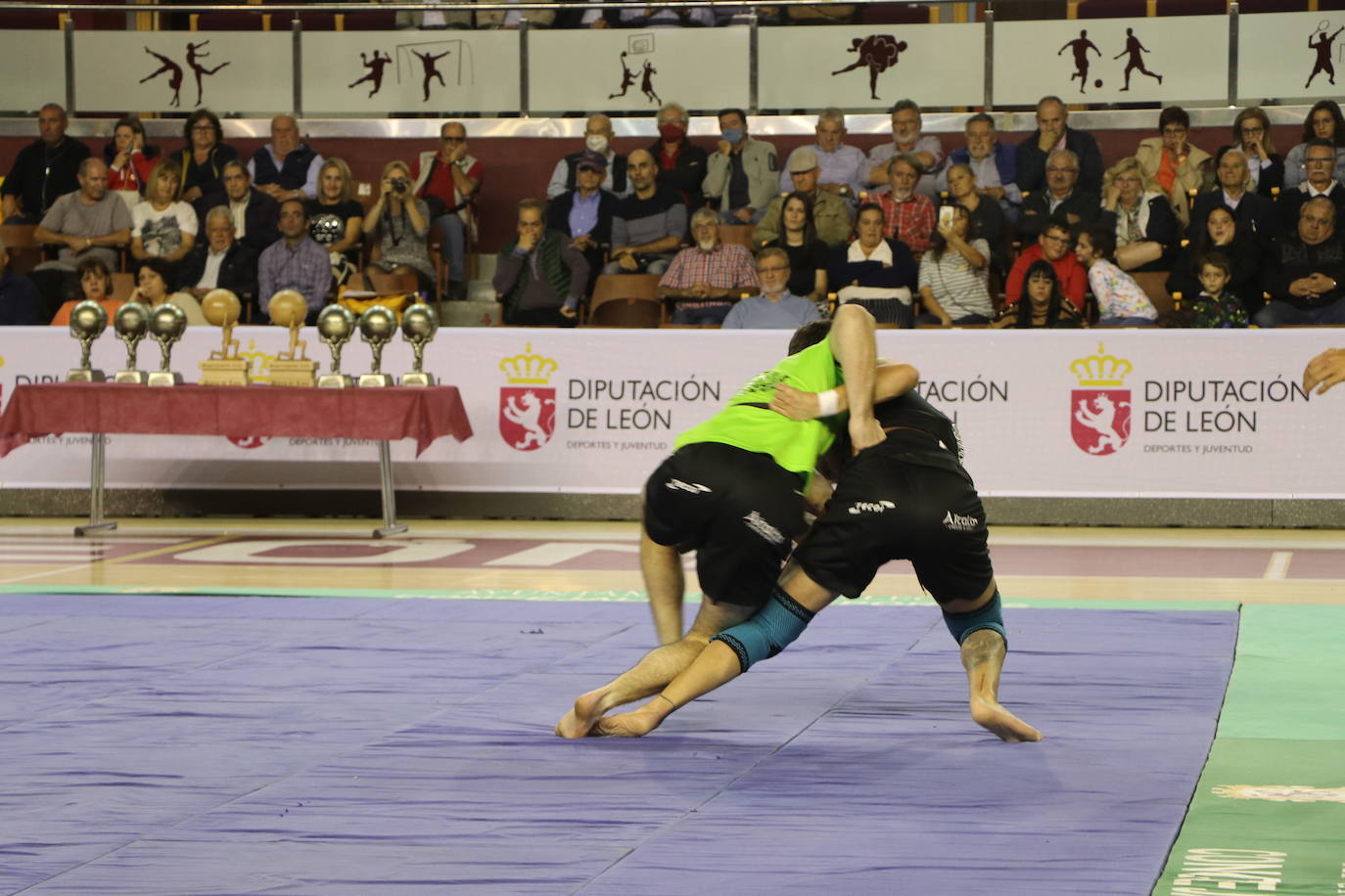 Corro de lucha leonesa en el Palacio de los Deporte.