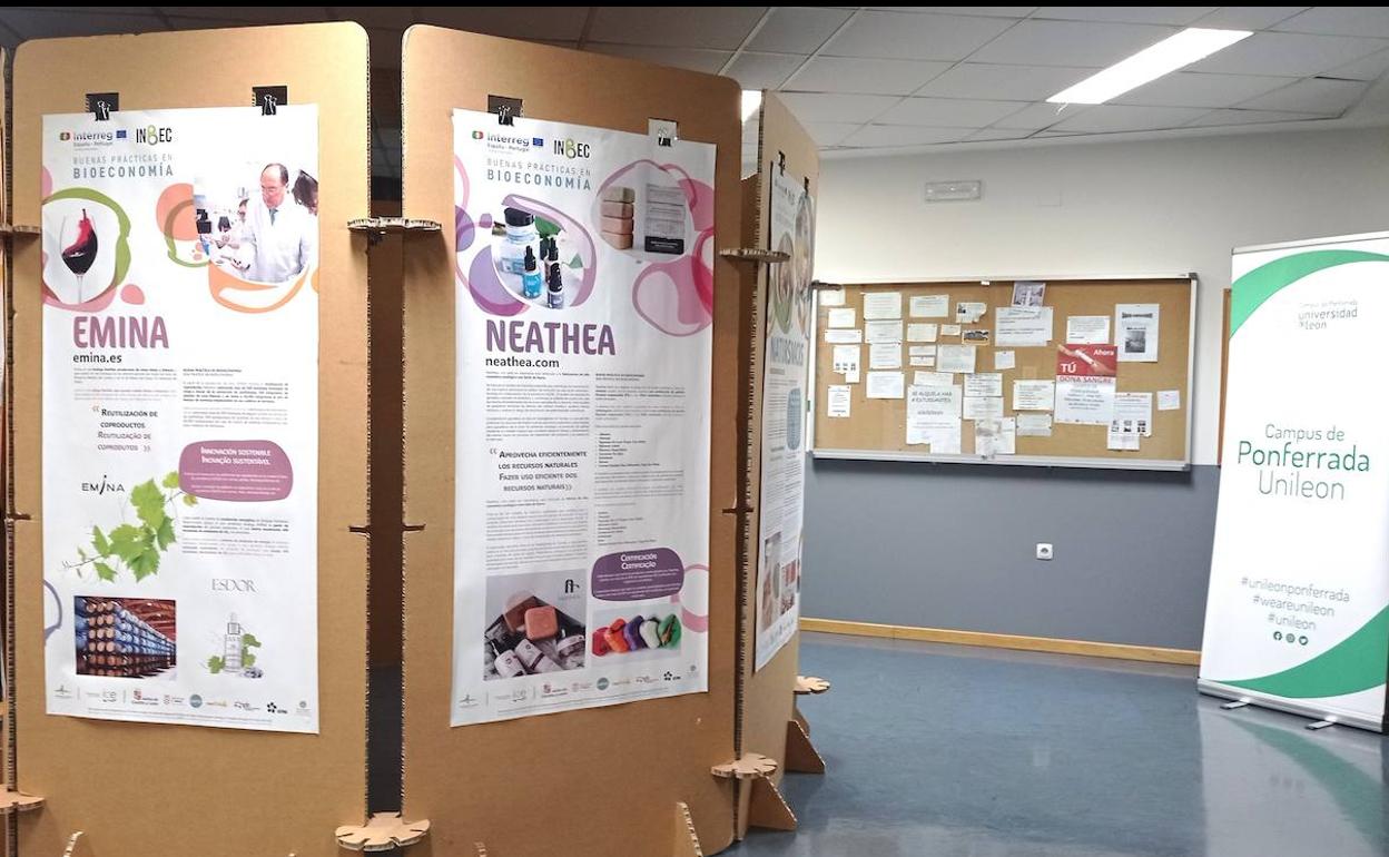 Exposición sobre 'Buenas prácticas en Bioeconomía' en el Campus de Ponferrada.