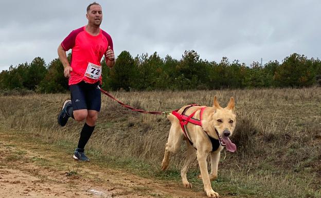 Los perros se han convertido en los grandes aliados de los participantes en esta prueba de mushing.