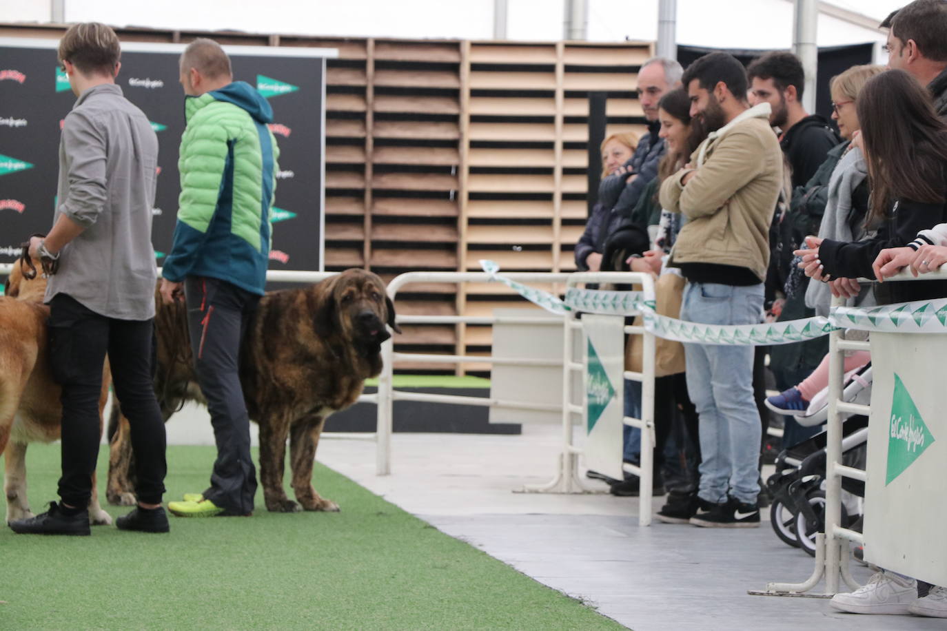 Una veintena de ejemplares se dan cita en El Corte Inglés en una actividad monográfica sobre esta raza