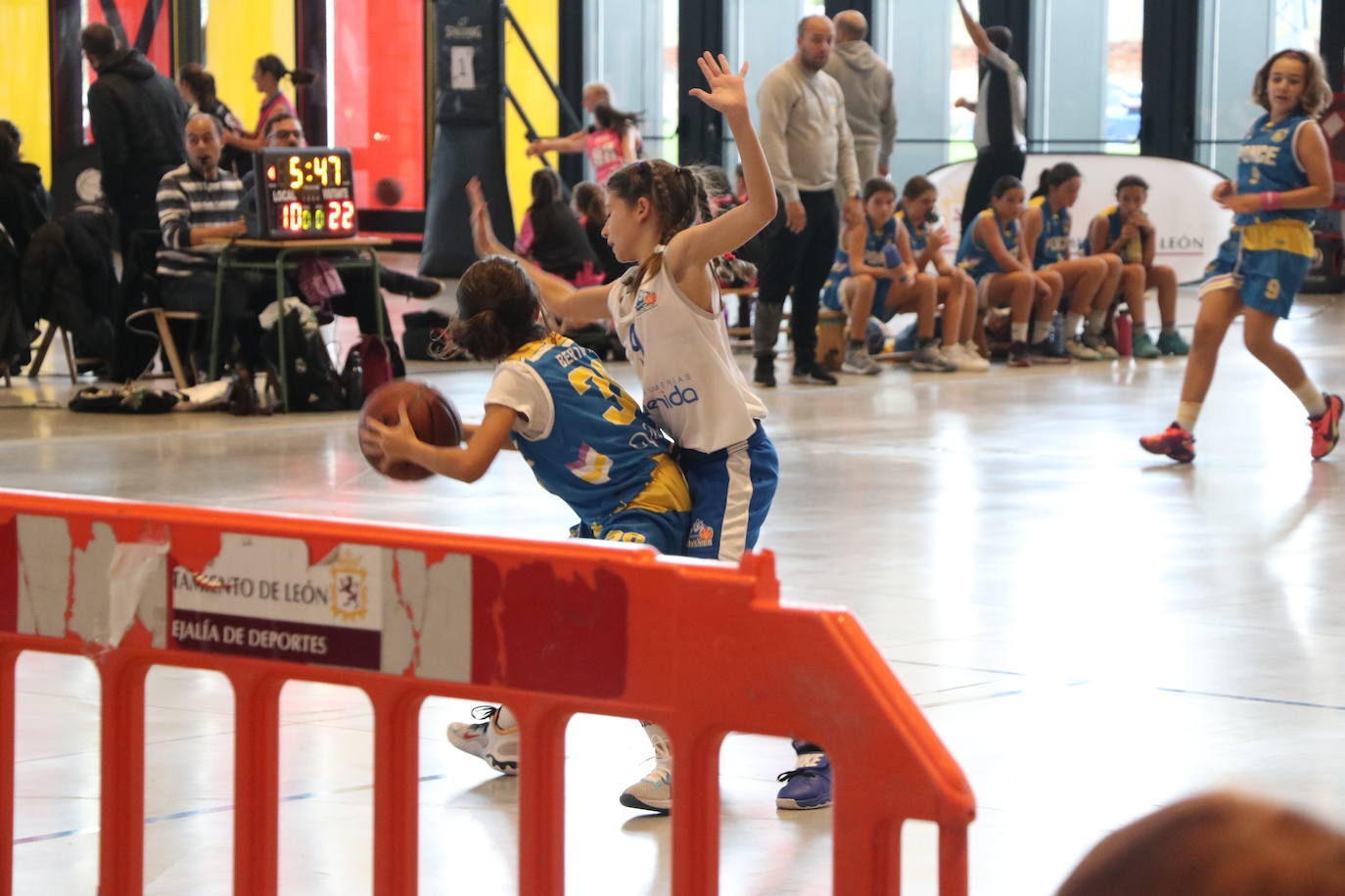 El Palacio de Exposiciones de León acoge este sábado y domingo el Júnior NBA, donde más de 800 niños y niñas disfrutarán del baloncesto