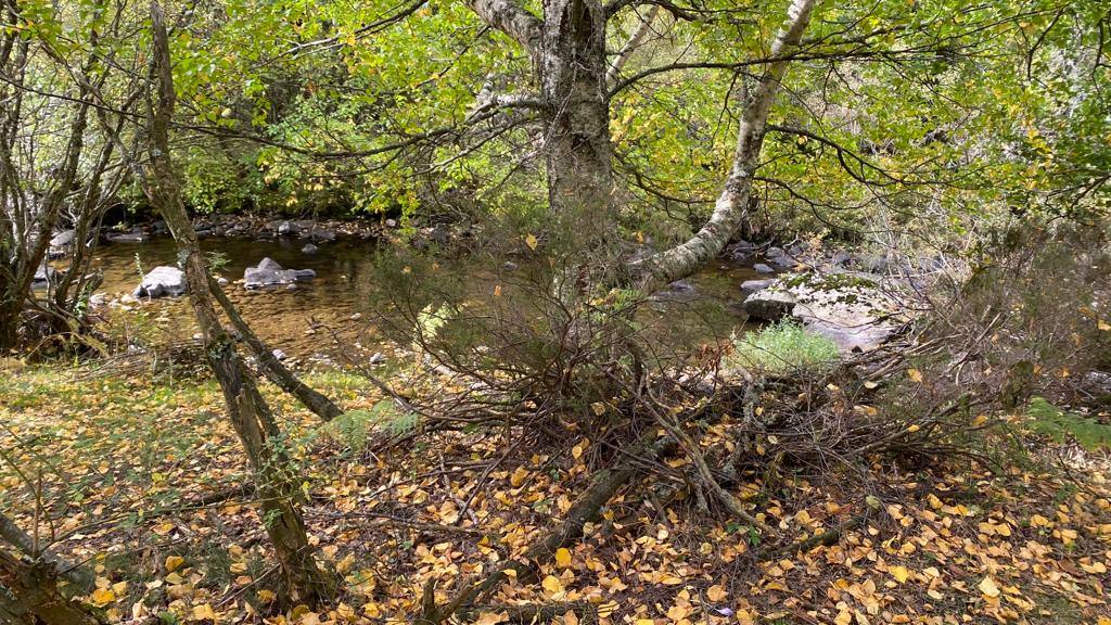 Fotos: Ruta por el Lago de Isoba