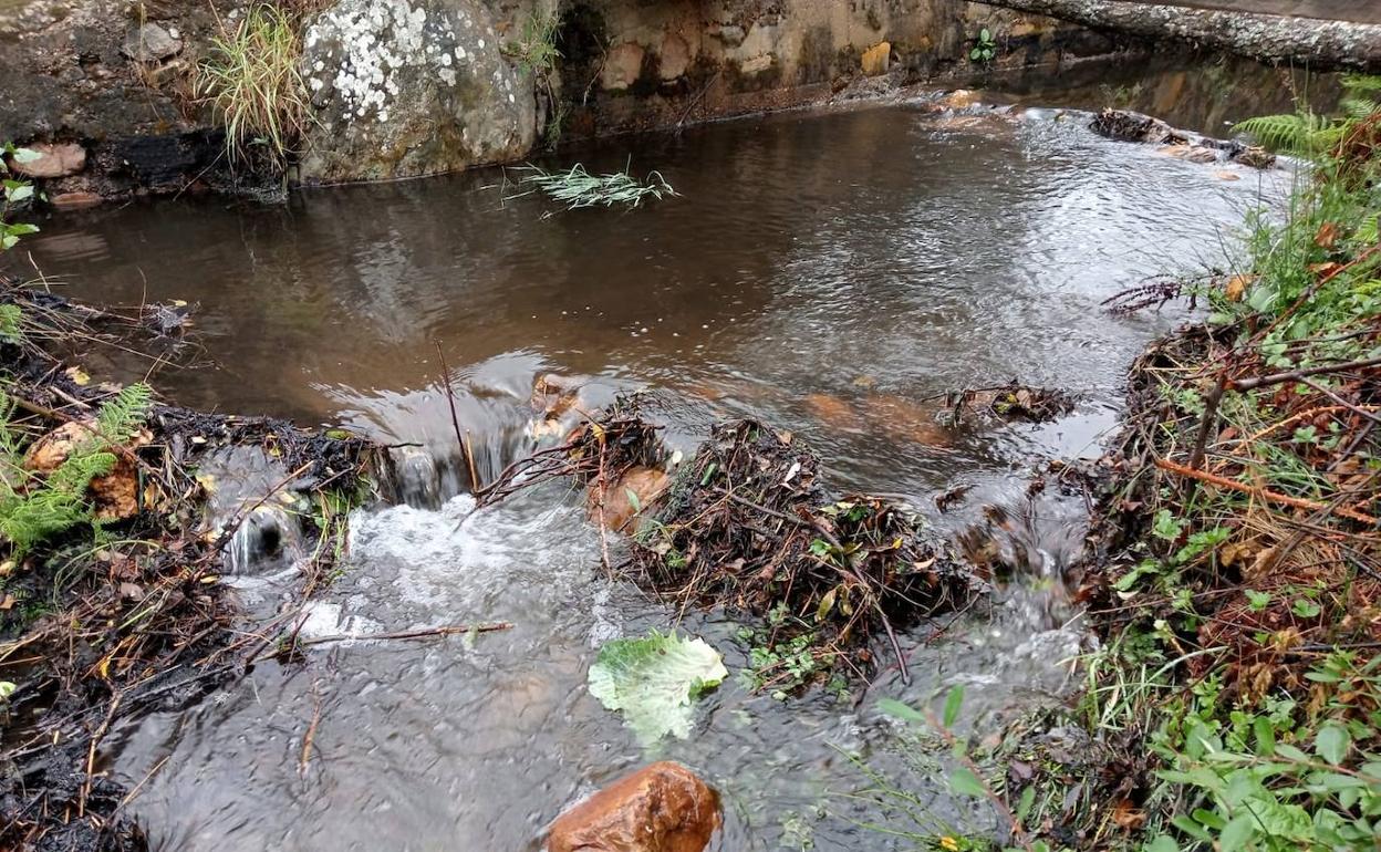 El río Llamas a su paso por Luyego.