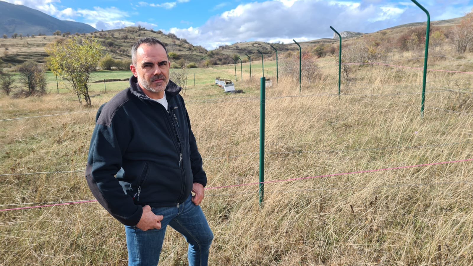 Fotos: La avispa velutina aterriza en la Montaña Central