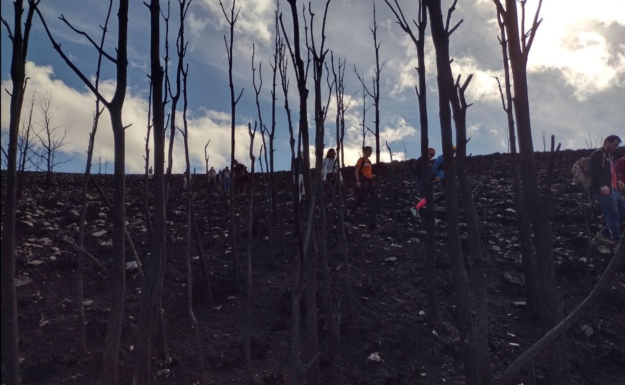 Los caminantes recorrieron el perímetro de la zona que ardió este verano. 