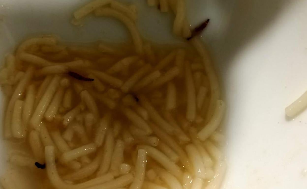 Los gorgojos han aparecido en la sopa de la destinada al personal del centro.