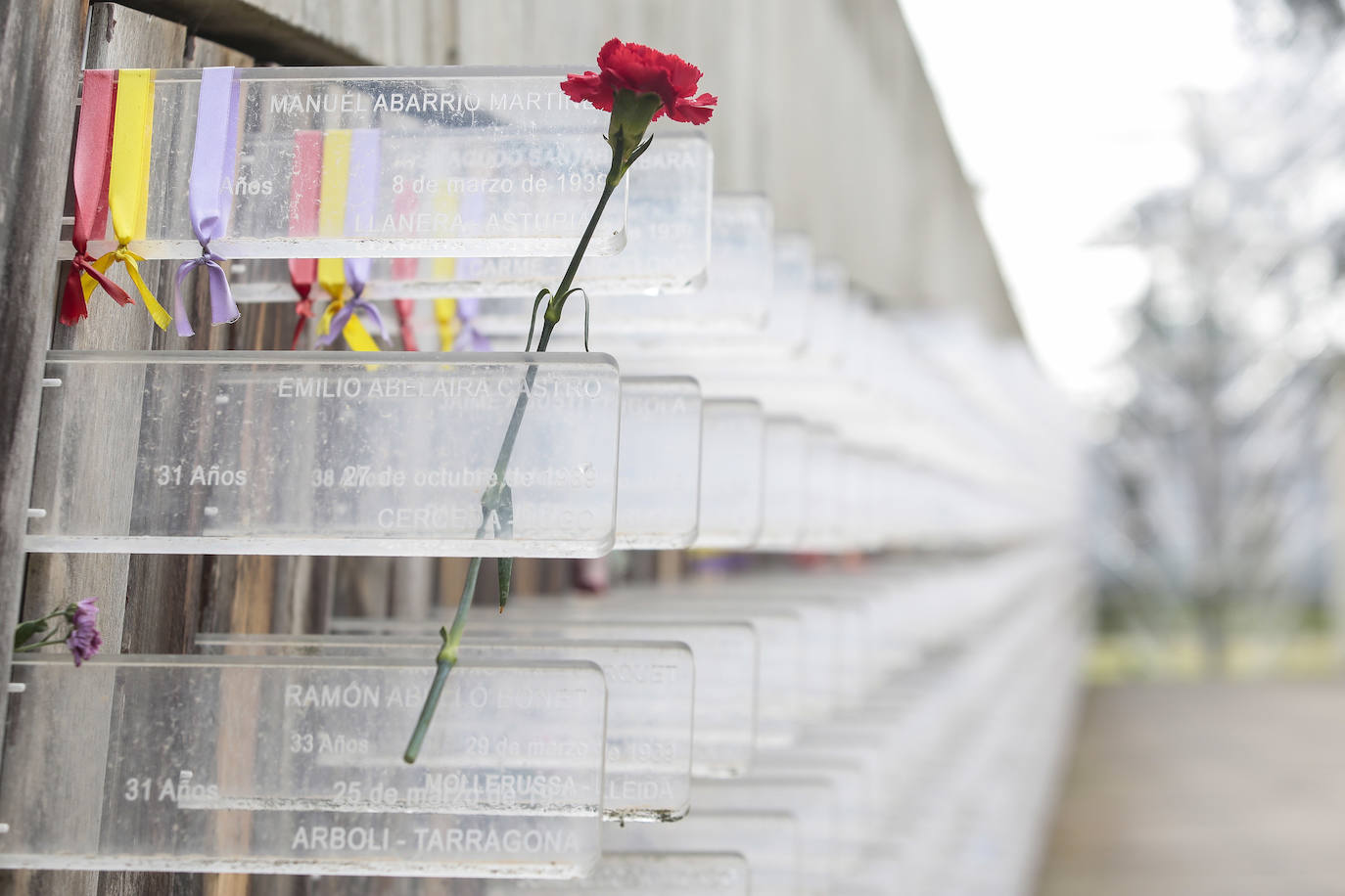 Fotos: Día para visitar el cementerio de León