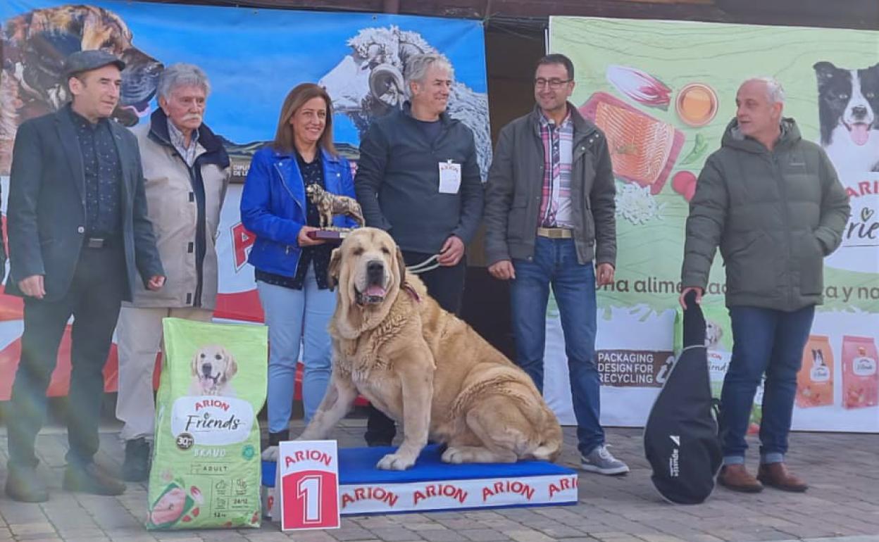 Mansilla de las Mulas acogió este certamen con 68 ejemplares en concurso.