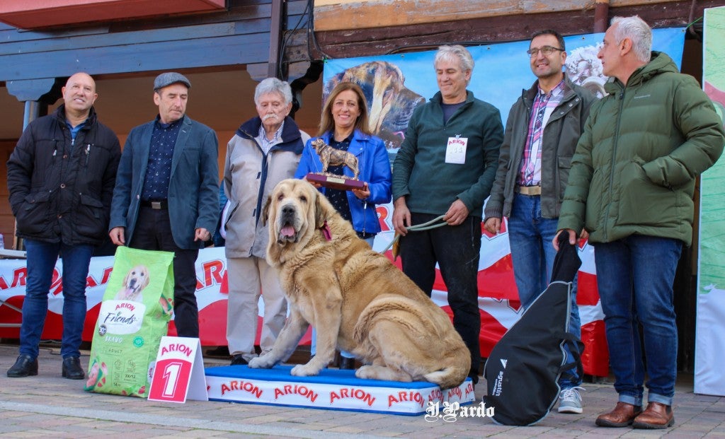 La localidad leonesa acogió el último certamen del Campeonato de León de Mastín Leonés