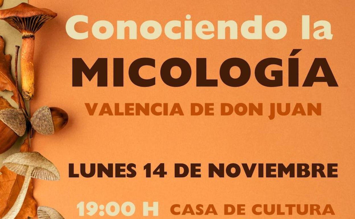 El Ayuntamiento de Valencia de Don Juan promueve dos talleres gratuitos de micología