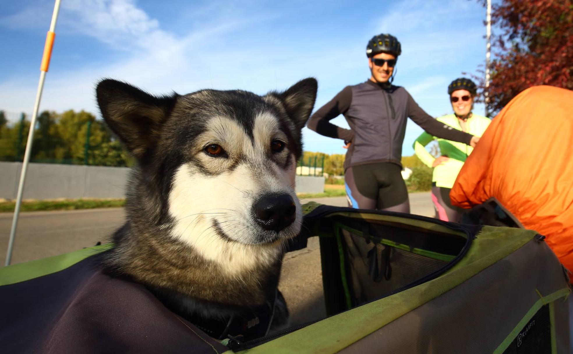 Una pareja de peregrinos franceses incluye el Camino de Santiago en su gira de dos años por Europa a lomos de sendas bicicletas y portando junto a ellos a su perra Praline.