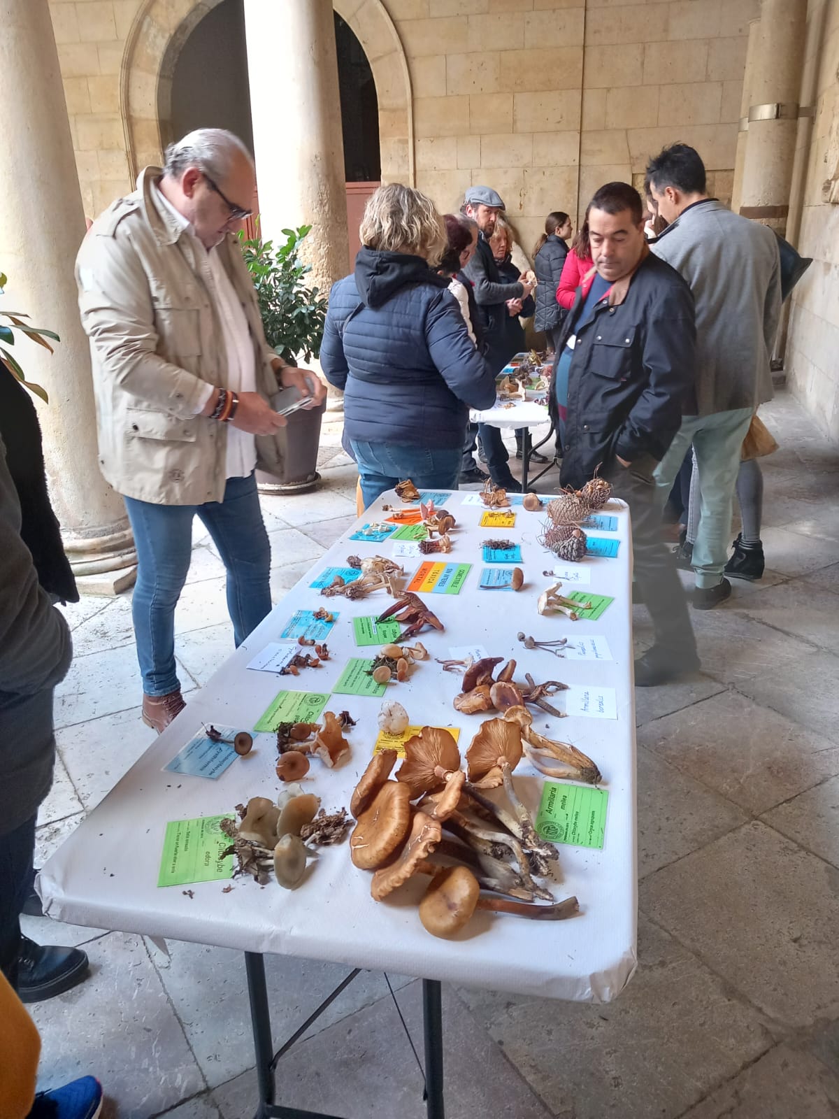 La Asociación Micológica Leonesa San Jorge asegura que los últimos años han sido «mediocres» en cuanto a la proliferación de setas en León