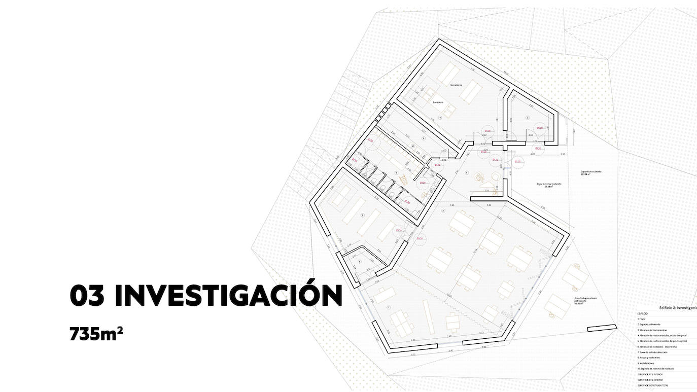 Comparecencia sobre el yacimiento arqueológico de Lancia.