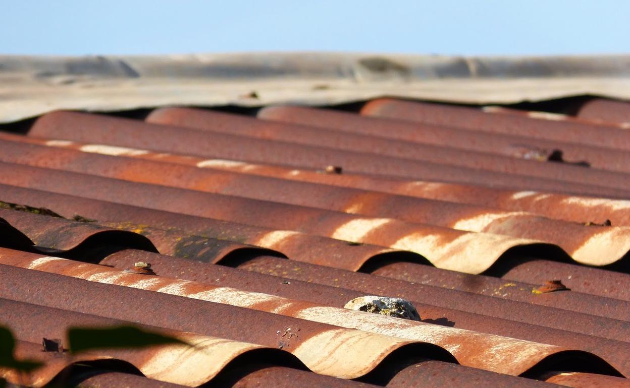 La ayuda, bajo convocatoria mediante Orden de 2 de septiembre de 2022, concede estas subvenciones con cargo a la aplicación presupuestaria de la Comunidad para 2022.