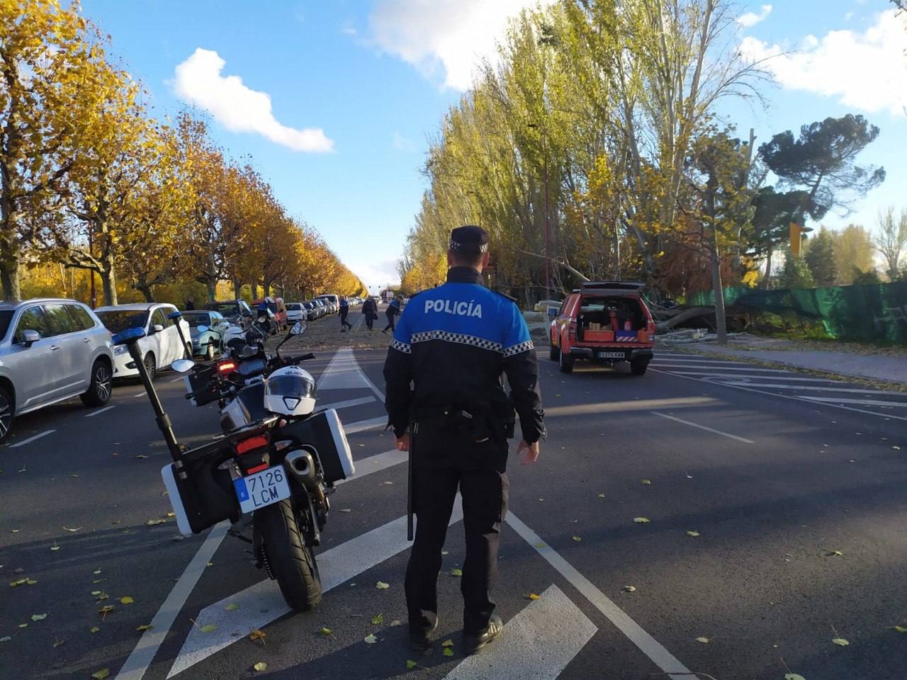 El intenso viento de este jueves deja los parques de la ciudad cerrados para evitar accidentes y obliga a cortar la Avenida Sáez de Miera para retirar el árbol caído.