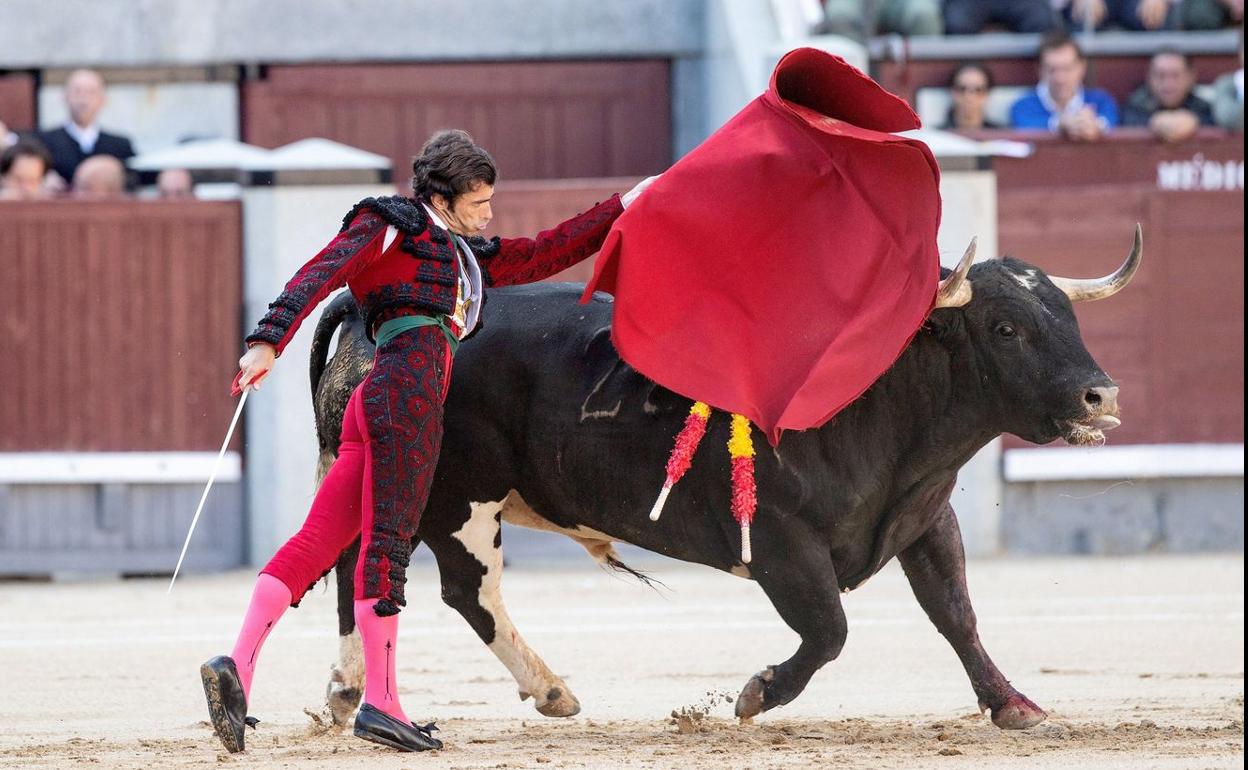 Los Premios Castilla y León incorporan este martes la nueva modalidad de 'Tauromaquia'