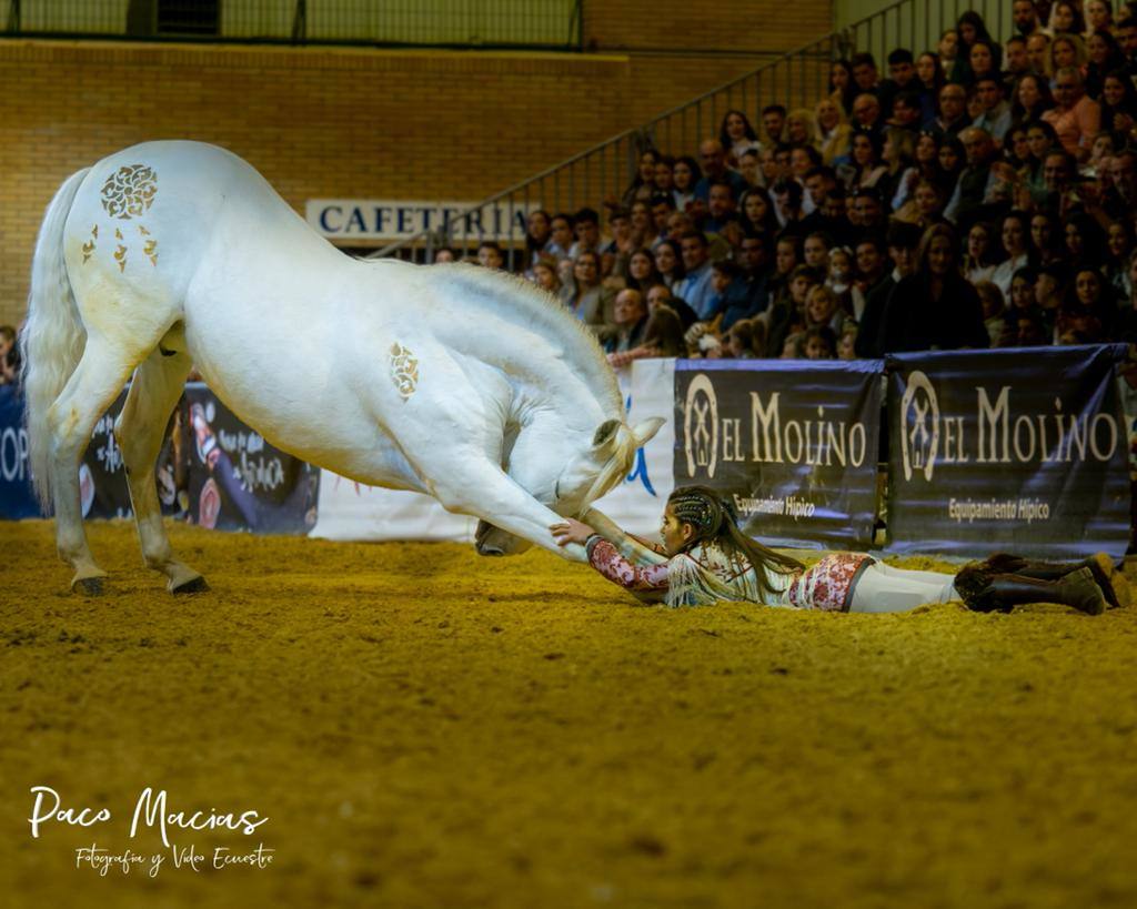 La leonesa Carlota ha quedado campeona del mundo en el concurso de exhibiciones del SICAB 2022.