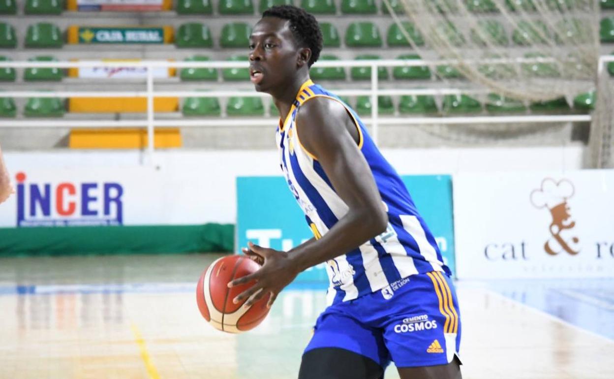 l conjunto de baloncesto de la Ponferradina suma su segunda victoria consecutiva y se coloca cuarto en el oeste de la LEB Plata.