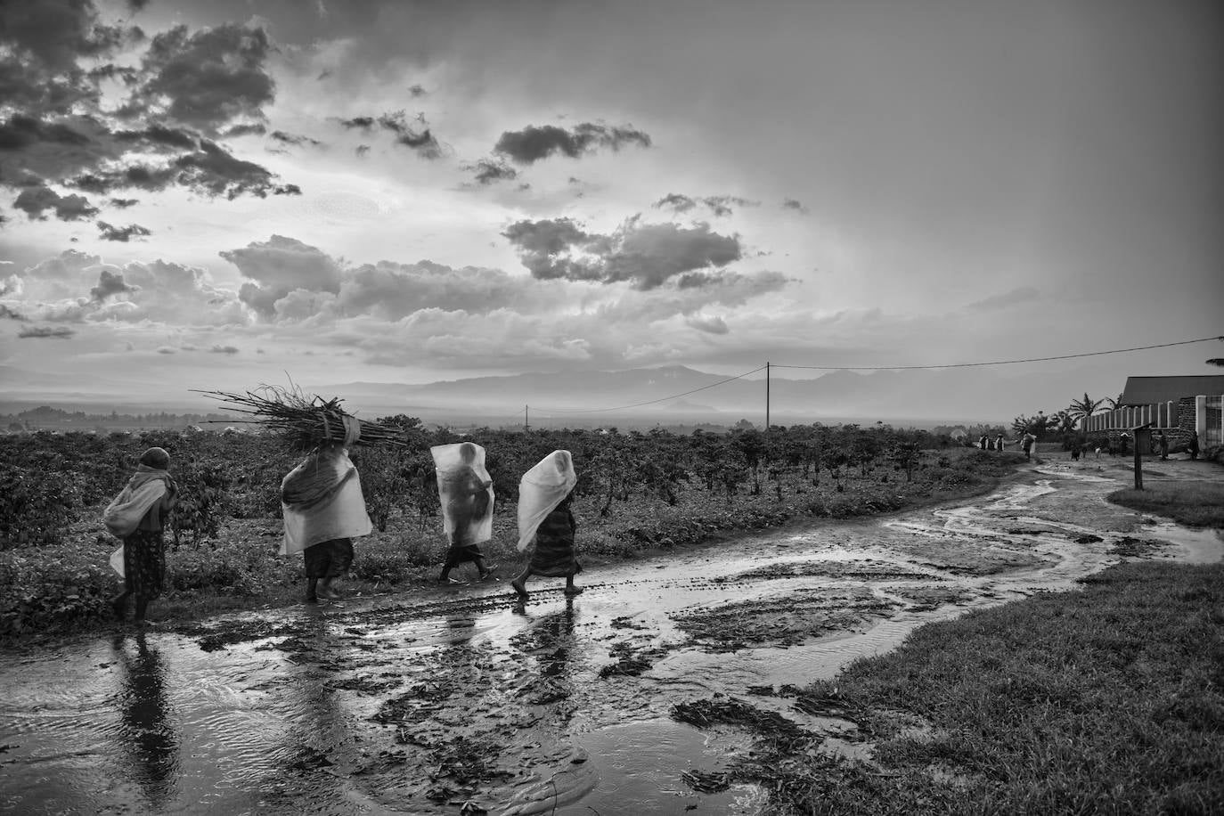 Una ONG de Castilla y León lleva la esperanza a uno de los territorios más castigados de Congo construyendo la única fábrica de la zona especializada en la producción de azúcar, pan y harina de maíz.