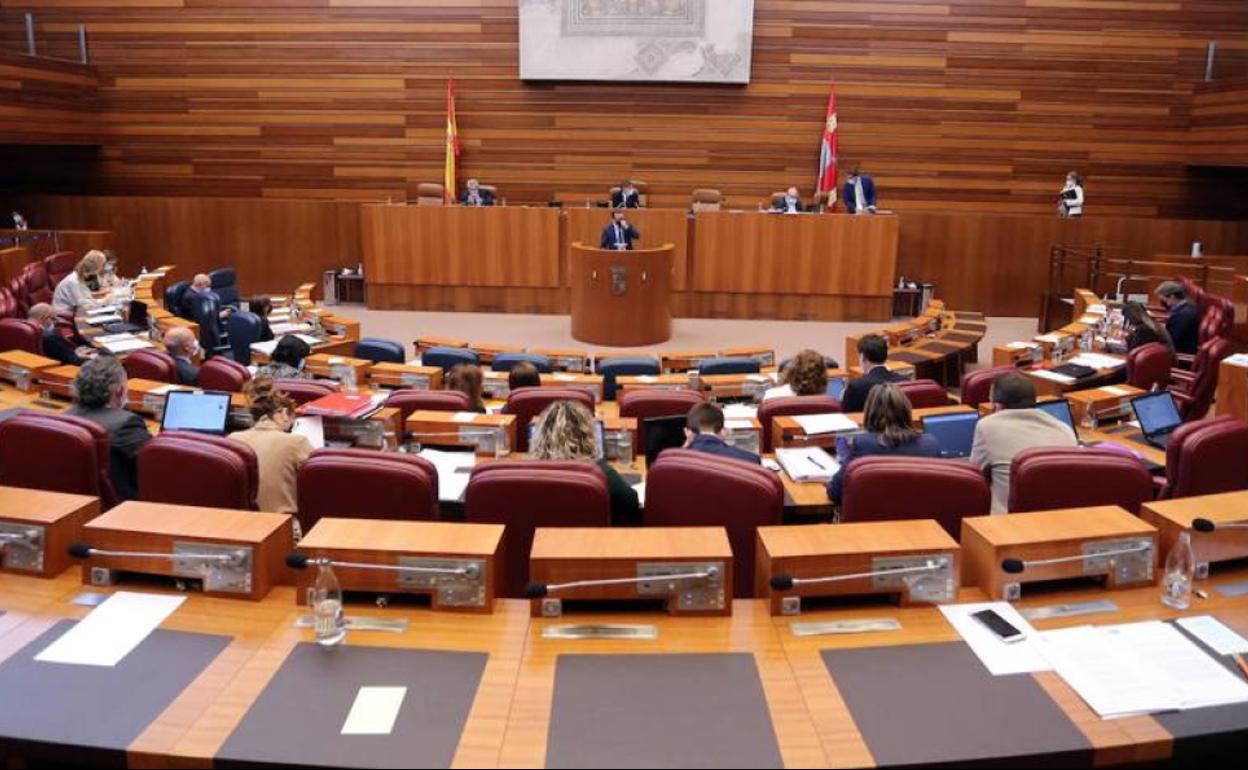 Pablo Fernández, cierra las preguntas del control al Ejecutivo, con«¿Considera adecuado la Junta de Castilla y León dar comida con gusanos?»