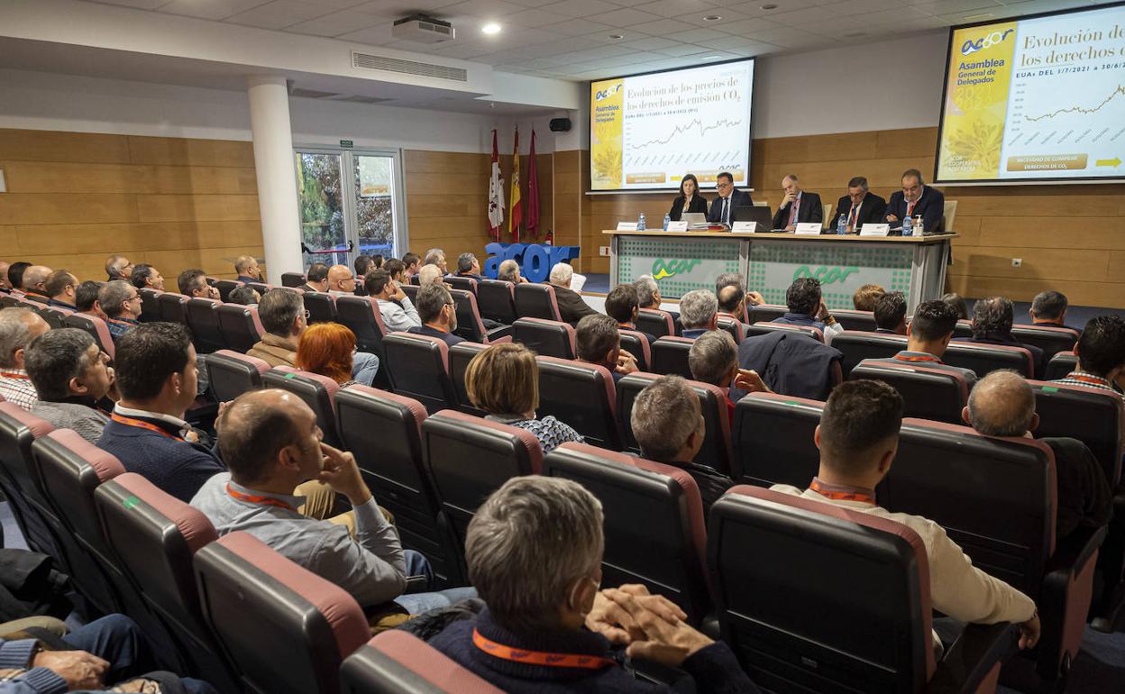 Asamblea de Delegados de ACOR celebrada hoy en Olmedo. 