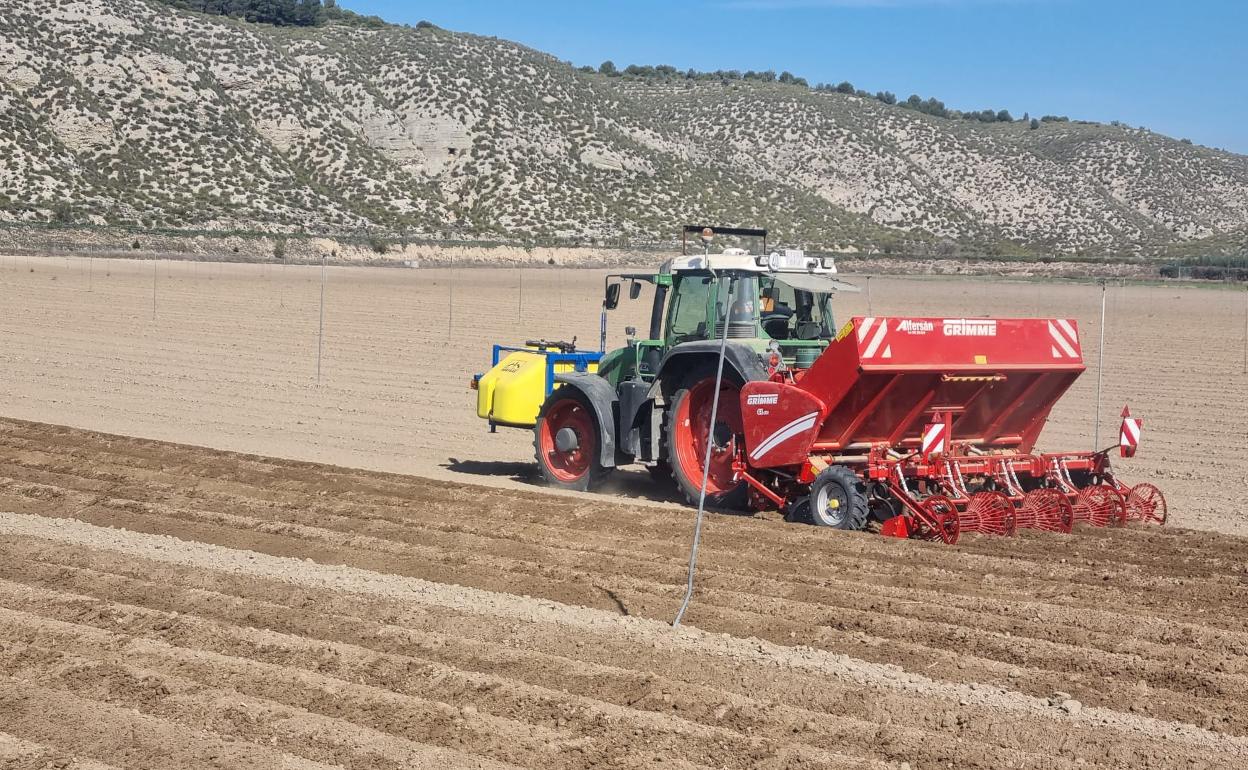 Labores agrarias en una explotación de la región. 