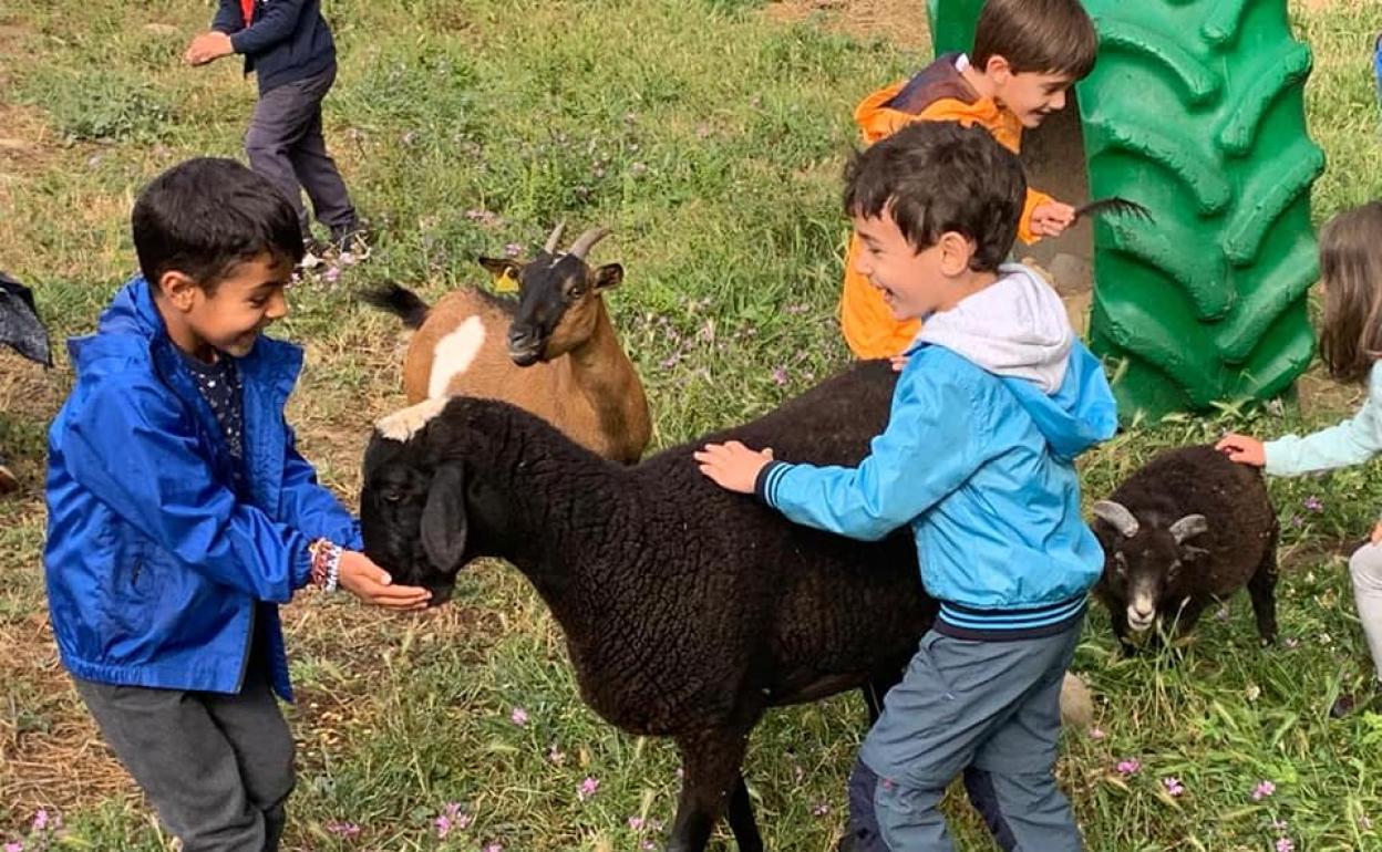 Castilla y León recibe 25,2 millones para programas educativos, 19 de ellos para crear 1.255 plazas públicas de 0 a 3 años