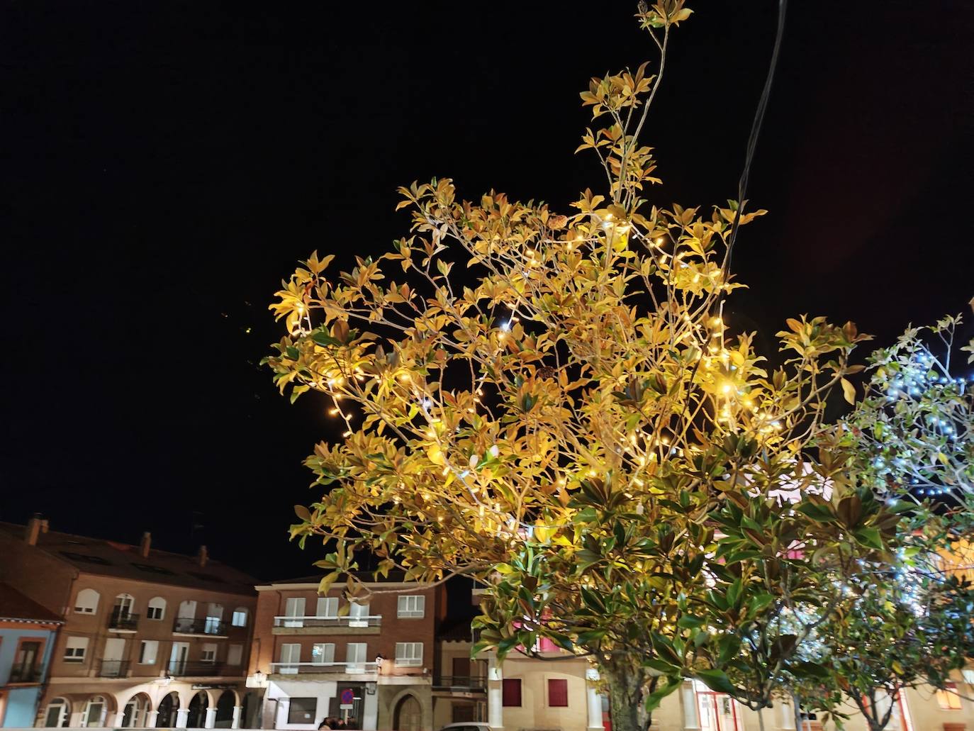 Fotos: Las luces ya iluminan Coyanza