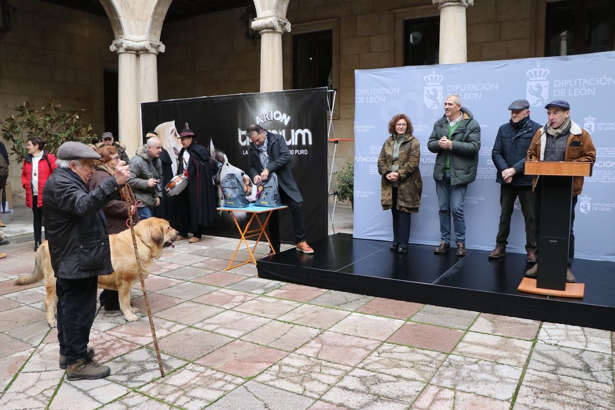 Fotos: Entrega de premios del XXIX Campeonato de León de mastines