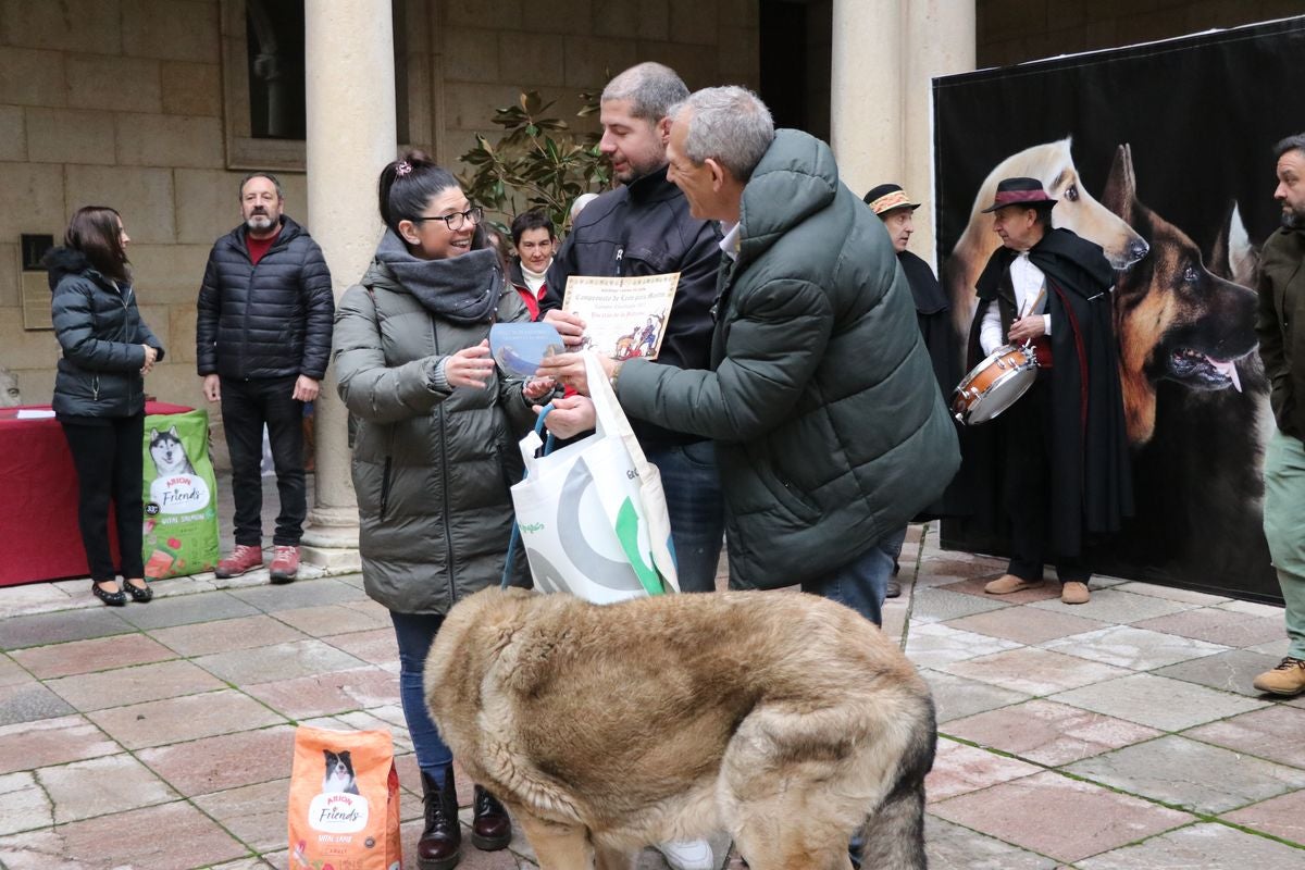 Fotos: Entrega de premios del XXIX Campeonato de León de mastines