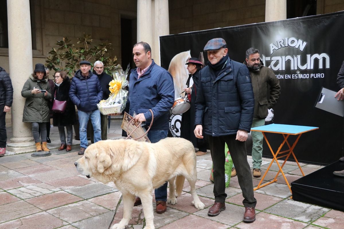 Fotos: Entrega de premios del XXIX Campeonato de León de mastines