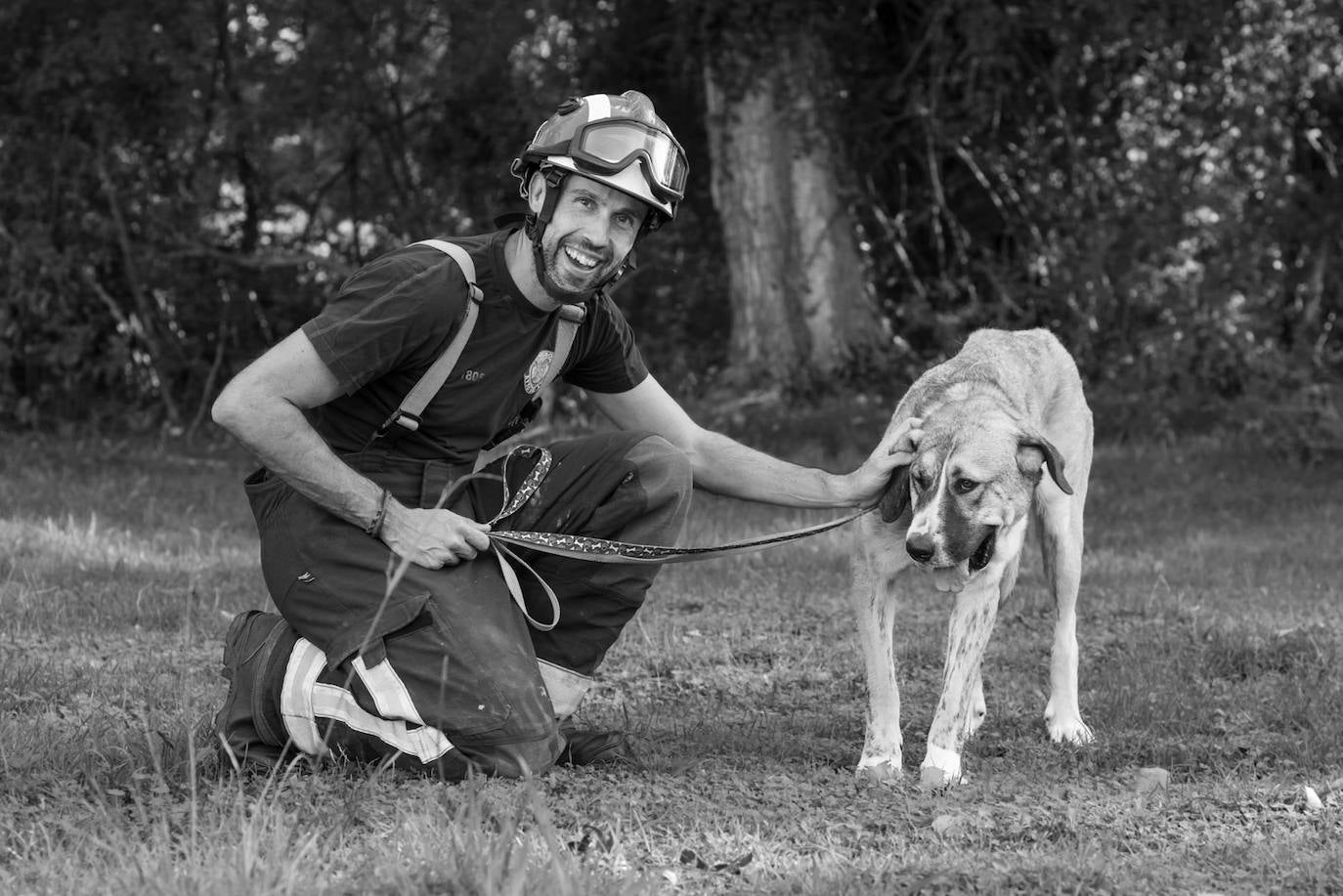 Los bomberos de la capital lanzan un calendario a beneficio de la Asociación Protectora de Animales y Plantas de León. Los profesionales del servicio de extinción de incendios pretenden concienciar sobre la necesidad de cuidar a los animales. 