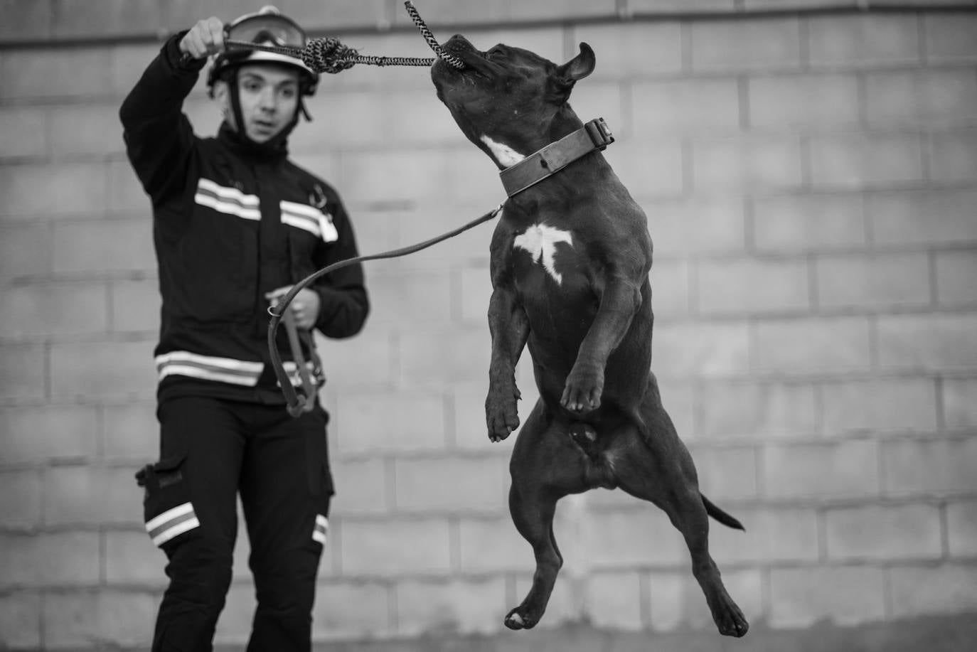 Los bomberos de la capital lanzan un calendario a beneficio de la Asociación Protectora de Animales y Plantas de León. Los profesionales del servicio de extinción de incendios pretenden concienciar sobre la necesidad de cuidar a los animales. 