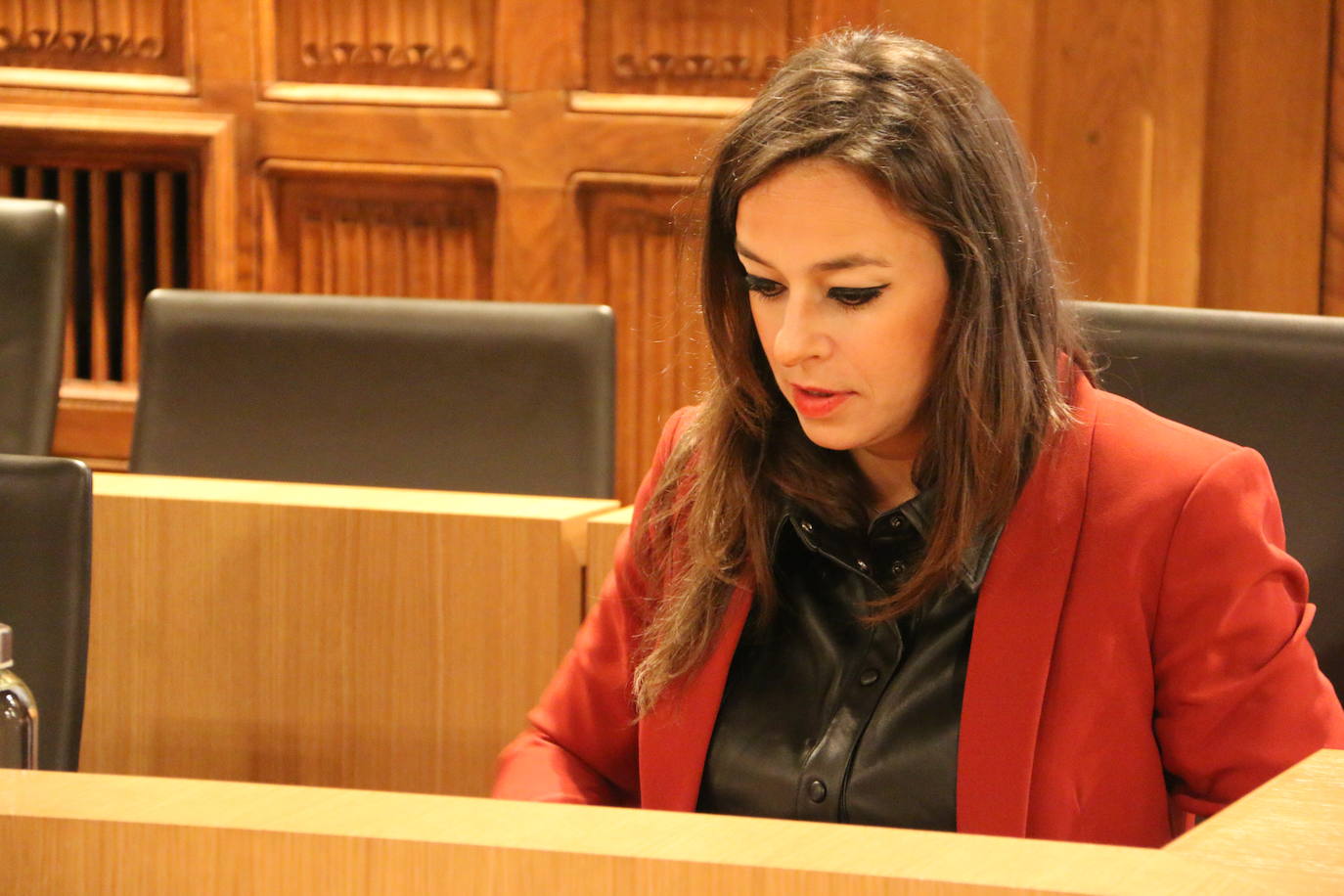 Sesión extraordinaria en la Diputación de León para aprobar el borrador de presupuestos. 